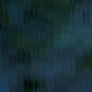 大男人鸡鸡插大母狗BB内射精
